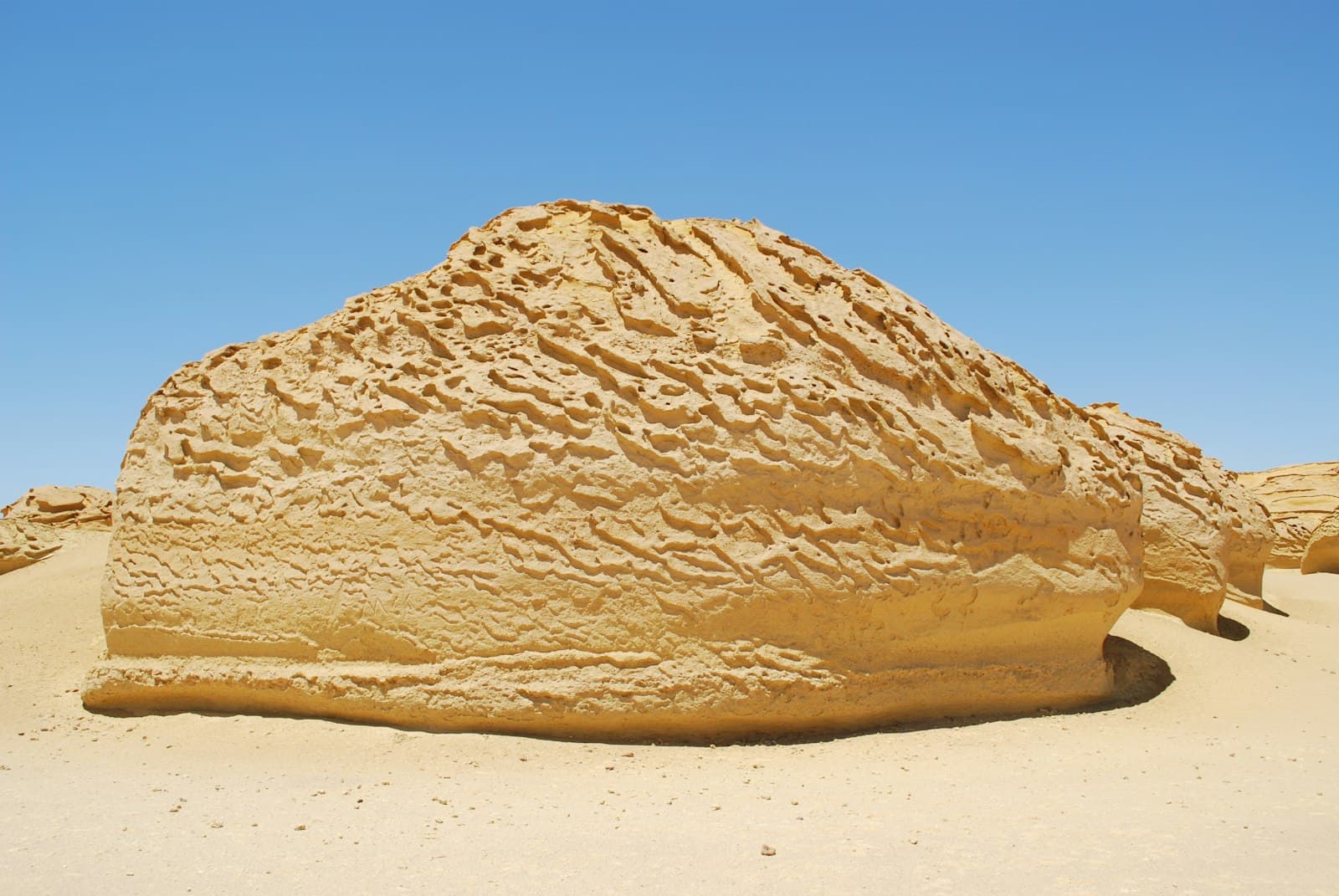 Photo Expeditions - Image 2